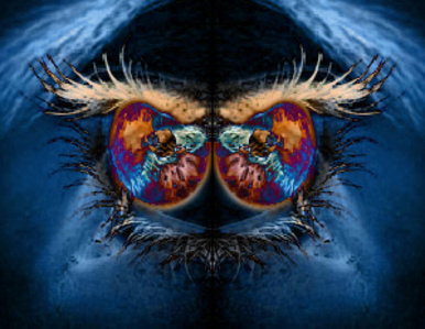 Abstract Blue Eyes