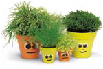 Face pots