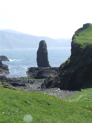 Puffin territory