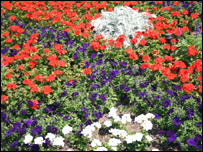Plenty of colour