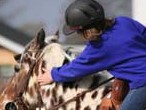 Young girl on horse