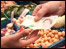 Market traders