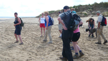 whiteford_burrows.jpg