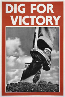 poster_dig226.jpg