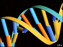 DNA