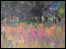 Field of Flowers by Bob Booth 