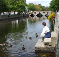 10_ducks_203.jpg