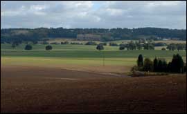 Field
