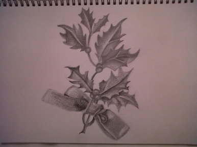 Holly