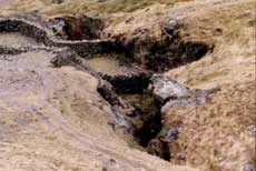 German mine