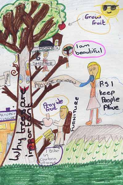 Tree Picture