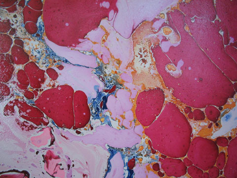 Detail from Assemblage of 9 Squares by Colin Williams. Image courtesy of the artist