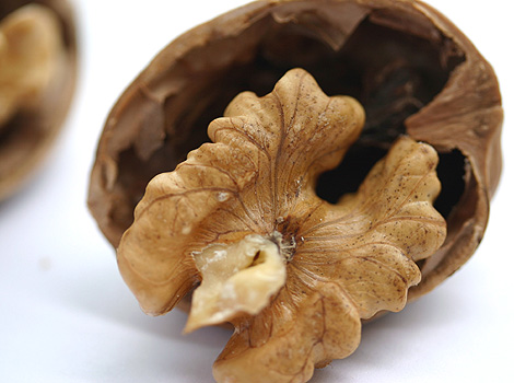 A walnut