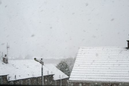 snowy14.jpg