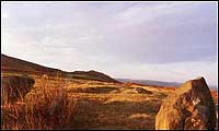 Mitchell's Fold