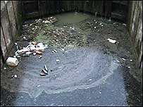 Rubbish in river