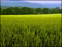  صدای آبادی