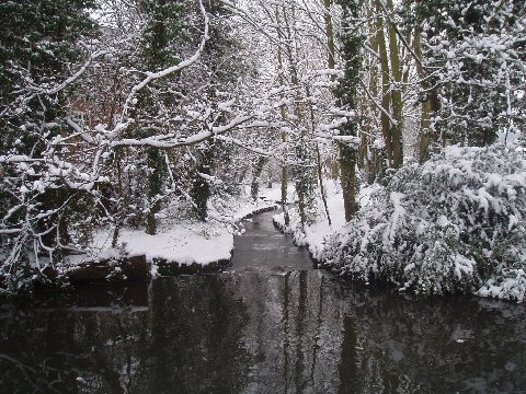 s1013.jpg