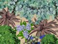 Lloyds TSB Planting Plan