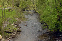 Parc craig-y-nos