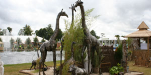 giraffes.jpg