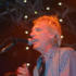 Mystery Jets