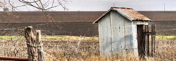 A shed of dignity?