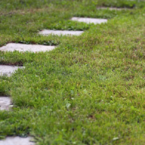 Pic: Garden path
