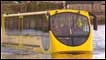Amfibus