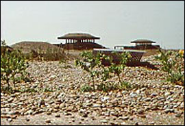 pagodas