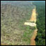 Desmatamento na Amazônia