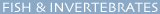Fish and Invertebrates