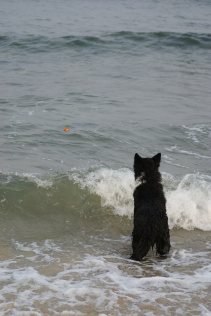 Eyeballing the ball