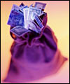 Bag of money