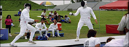 Dolph fencing