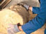 Insulation in the home