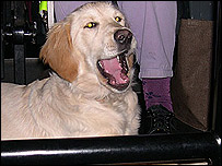 Darcy at the cinema