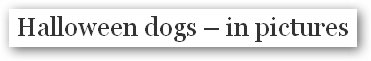 Guardian headline