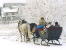 sleigh