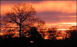 Sunrise
