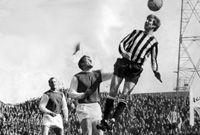 'Wyn The Leap'