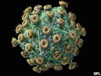 HIV 