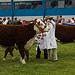 Royal Highland Show 2010