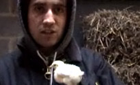 Nick Grimshaw