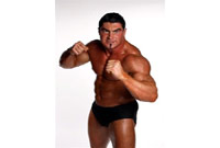 Y Celtic Warrior