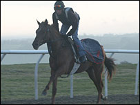 On the gallops