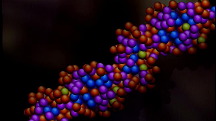 DNA