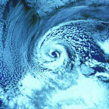 polar_low226x226.jpg