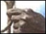 BBC Abolition graphic