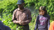 Harvesting the orchard